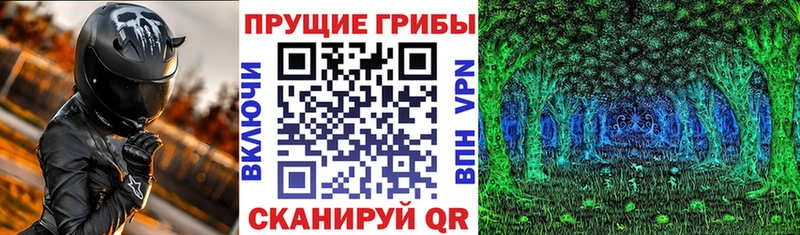 Псилоцибиновые грибы MAGIC MUSHROOMS  кракен зеркало  Мценск 